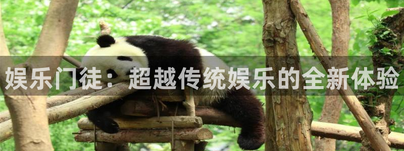 新城平台官网：娱乐门徒：超越传统娱乐的全新体验