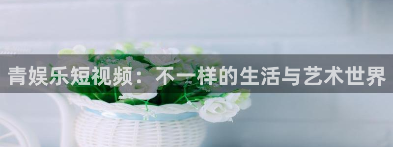 新城平台网页版登录：青娱乐短视频：不一样的生活与艺术世界