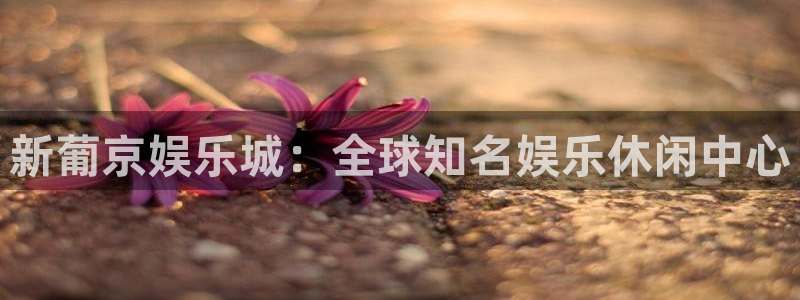 新城平台网页版登录：新葡京娱乐城：全球知名娱乐休闲中心