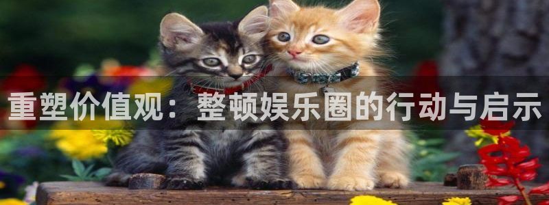 新城平台官网：重塑价值观：整顿娱乐圈的行动与启示