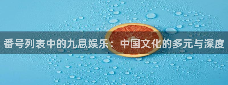 新城平台登录：番号列表中的九息娱乐：中国文化的多元与深度