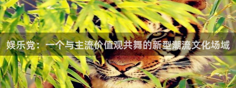新城平台官网：娱乐党：一个与主流价值观共舞的新型潮流文化场域