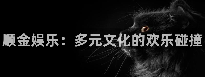 新城平台网页版登录：顺金娱乐：多元文化的欢乐碰撞