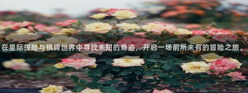 新城平台：在星际探险与棋牌世界中寻找未知的奇迹，开启一场前所未有的冒险之旅。