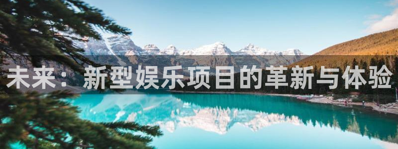 新城平台登录：未来：新型娱乐项目的革新与体验