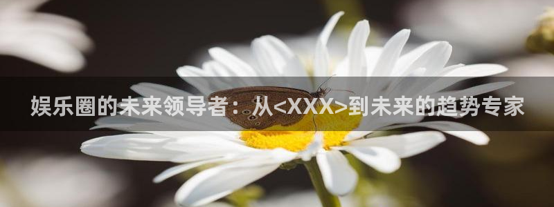 新城平台登录：娱乐圈的未来领导者：从<XXX>到未来的趋势专家